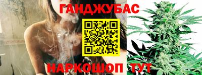 крисы Коммунар