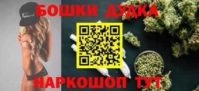 крисы Коммунар